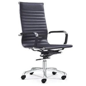 Revolving chair , Director Chair