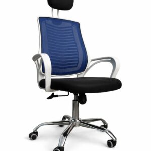 Linear Mesh Pro White V-Mesh Home/Office Revolving Chair | Blue-Black Mesh | CW-EC-05WBB