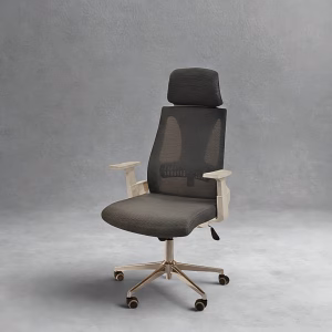 Flow Ergo Chair ergonomic office chair with mesh back and headrest | Smart Ergonomics. Effortless Comfort. Professional Design
