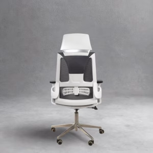 Flow Ergo Chair ergonomic office chair with mesh back and headrest | Smart Ergonomics. Effortless Comfort. Professional Design