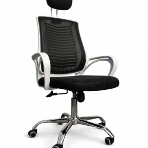 Linear PRO V Mesh Office Chair CWMC-05WBLACK